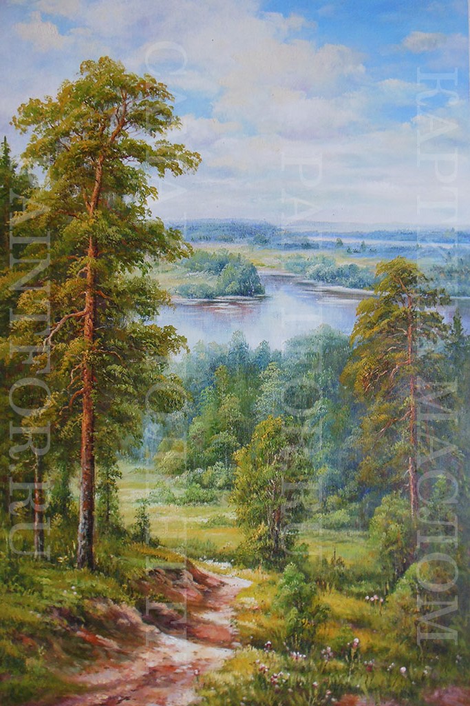 Картина маслом Сосновый бор 60х90